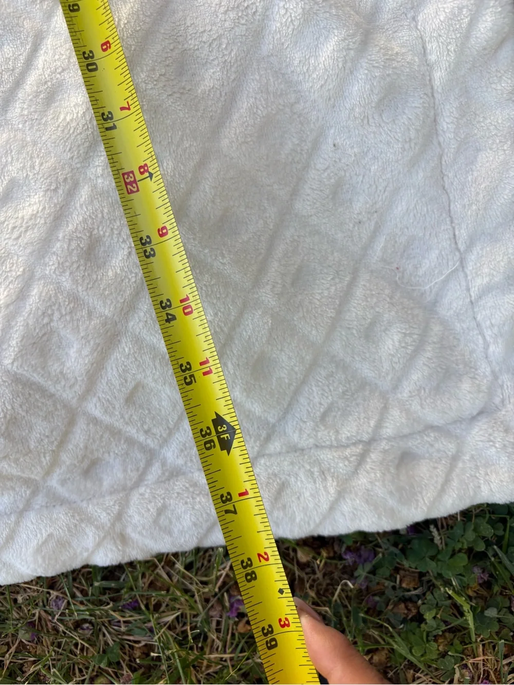 Disney measurements included